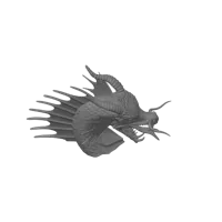 Tête de dragon aquatique — photo 3