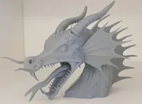 Tête de dragon aquatique — photo 2