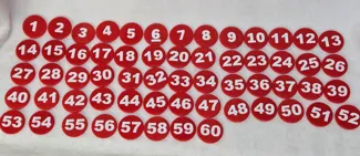 Numbered Coins (Chips)