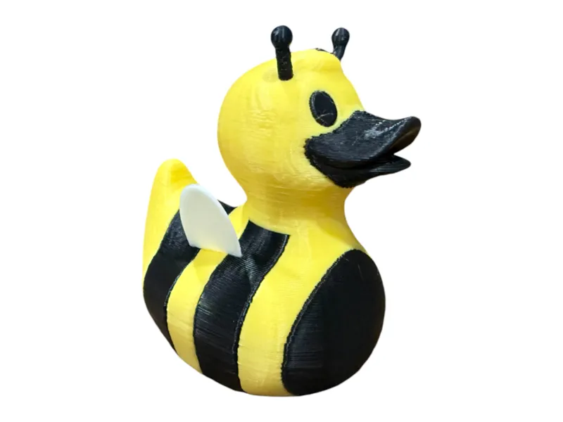 Bumblebee Duck