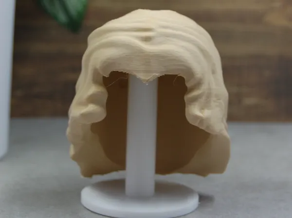 https://makerworld.bblmw.com/makerworld/model/USffe192a17a893e/design/4d6146f991a27d71.jpg