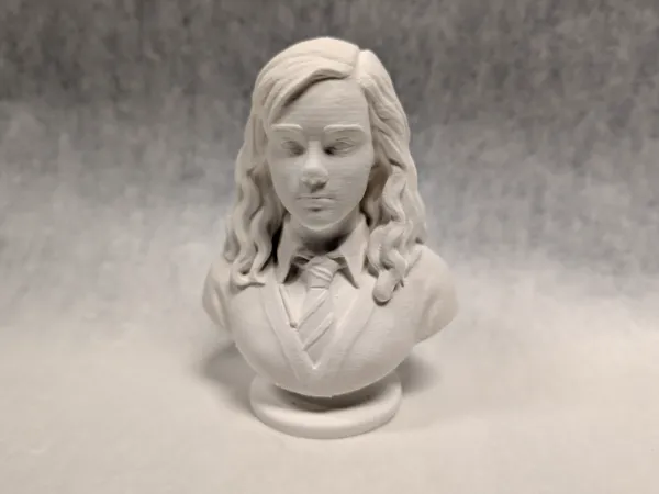https://makerworld.bblmw.com/makerworld/model/USffe2b91be3c24c/design/2025-11-06_53e5d09ff40008.jpg
