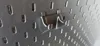 IKEA SKADIS Hammer Hanger