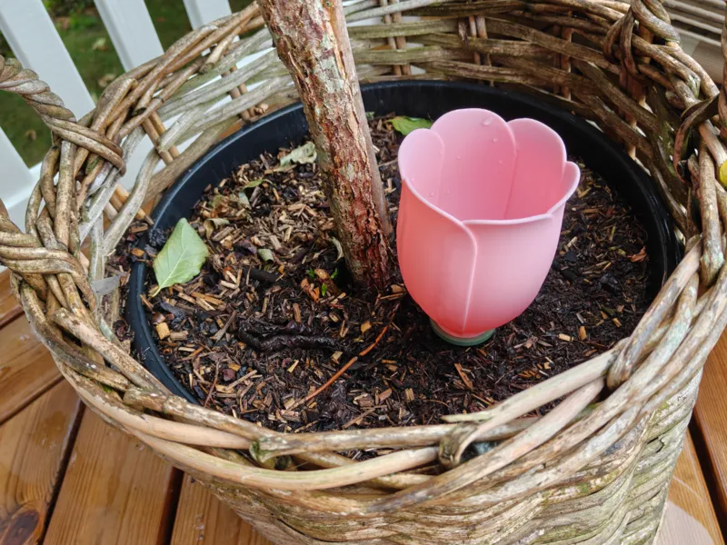 Irigation cup - slow watering - self-watering