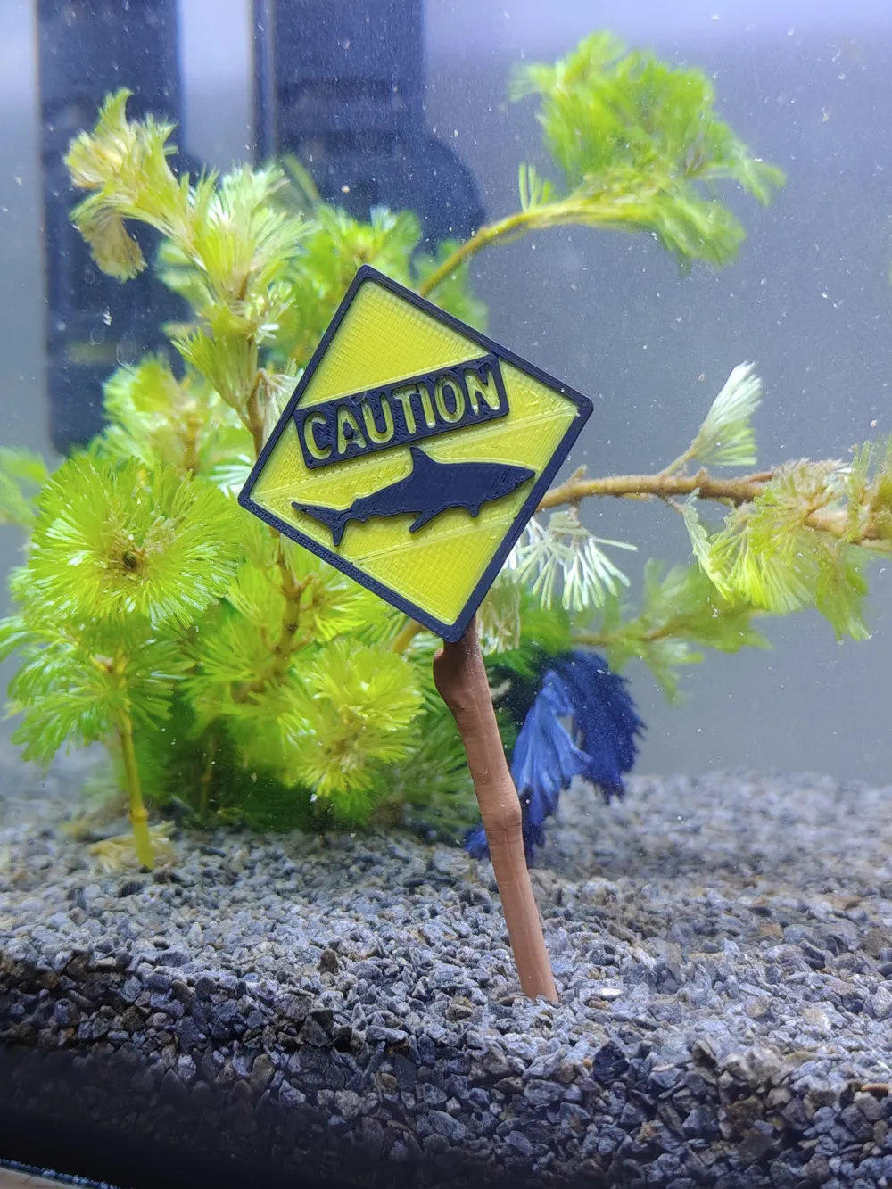 CAUTION Shark - Aquarium Sign by armania3d MakerWorld: Download Free 3D ...