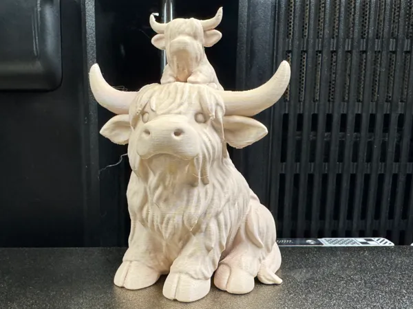 https://makerworld.bblmw.com/makerworld/model/USfff56658316221/design/2025-11-04_714c74ef0e9da.jpeg