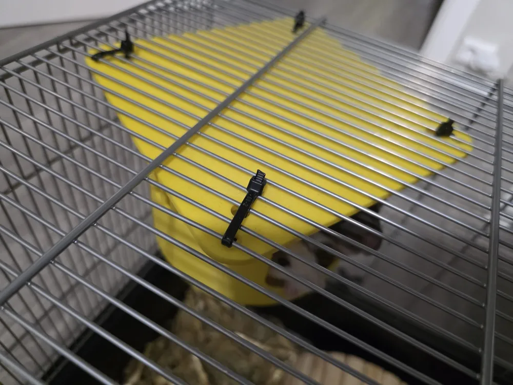 House for rats - Free 3D Print Model - MakerWorld