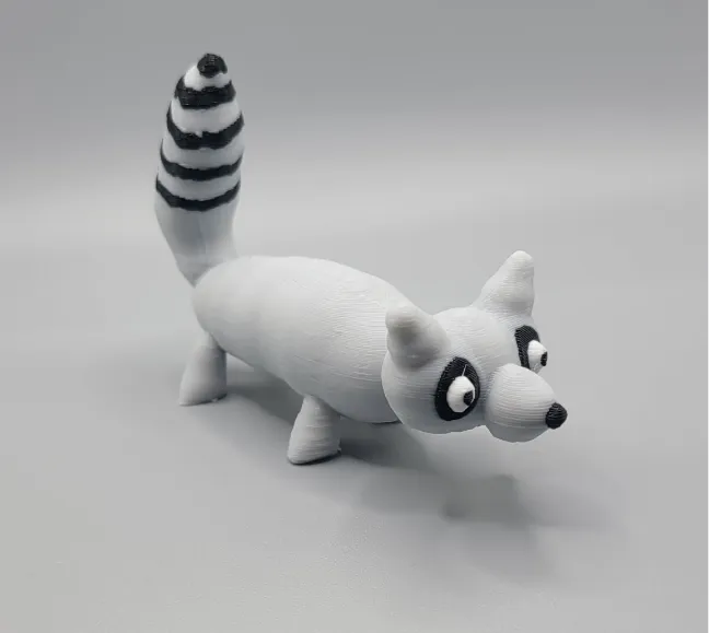 Racoon