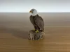 Tall Pose