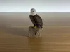Eagle V1