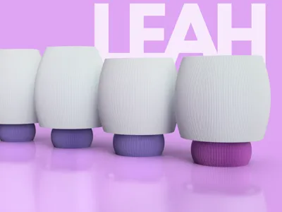 A New Milestone for the LEAH Project
