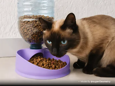 🎁 MakerWorld Pet Feeder Awards: Share & Win!