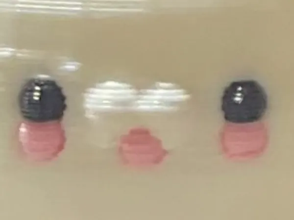 https://makerworld.bblmw.com/makerworld/user/1200710660/collection/2025-04-24_f3257c94081ae.jpg