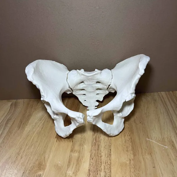 https://makerworld.bblmw.com/makerworld/user/1214756988/collection/2025-08-09_1c6a48bb2c1a38.jpg