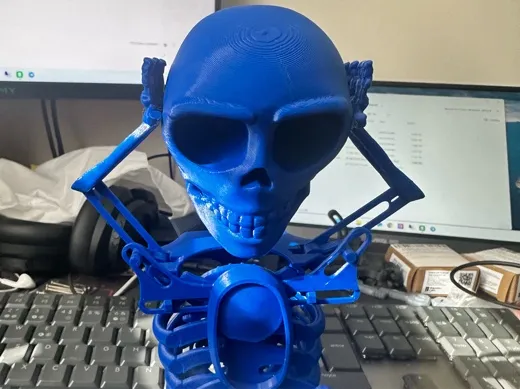 https://makerworld.bblmw.com/makerworld/user/1260732114/collection/9f4f2540-4669-11f0-8772-377faeee66b8.jpg
