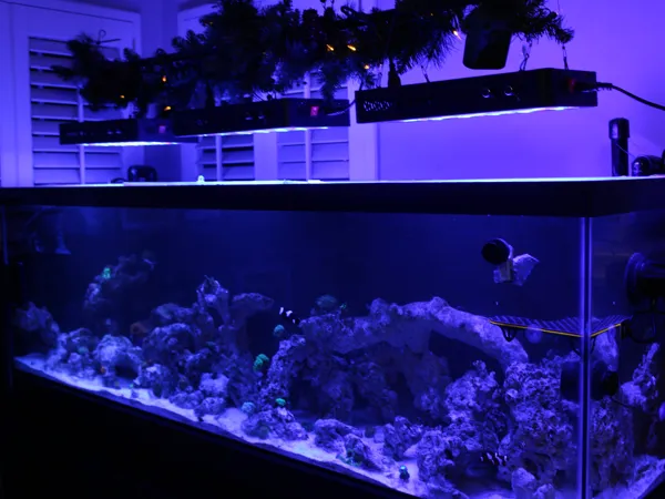 https://makerworld.bblmw.com/makerworld/user/1273247555/collection/2025-01-06_555faddcf39b8.jpg