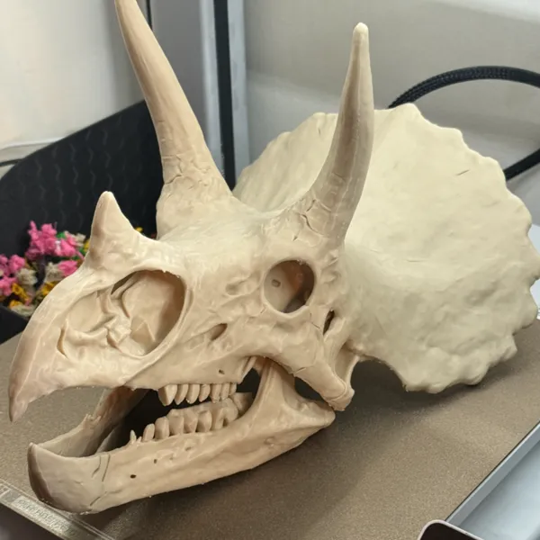 https://makerworld.bblmw.com/makerworld/user/1327273992/collection/2025-12-04_081bb062d42858.jpg