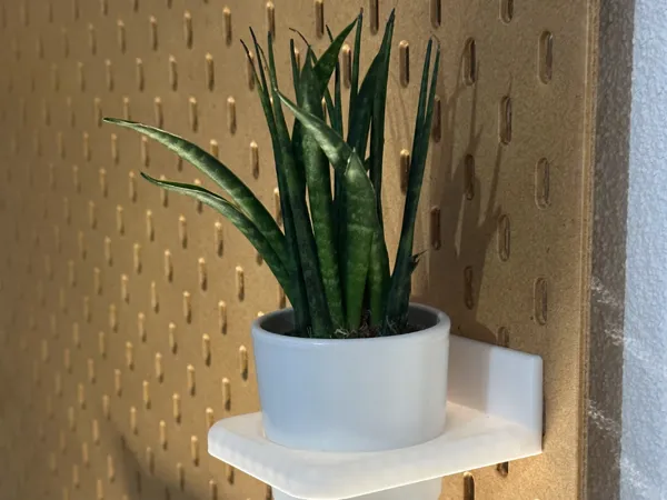 https://makerworld.bblmw.com/makerworld/user/13558120/collection/2025-04-08_ee92af089ca168.jpg