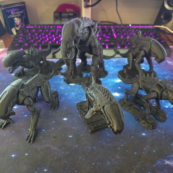 https://makerworld.bblmw.com/makerworld/user/1438436781/collection/2025-09-17_55cdf87d812a6.jpg