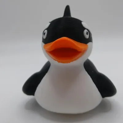 Ducks
