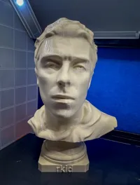 0.2mm layer, 3 walls, 15% infill