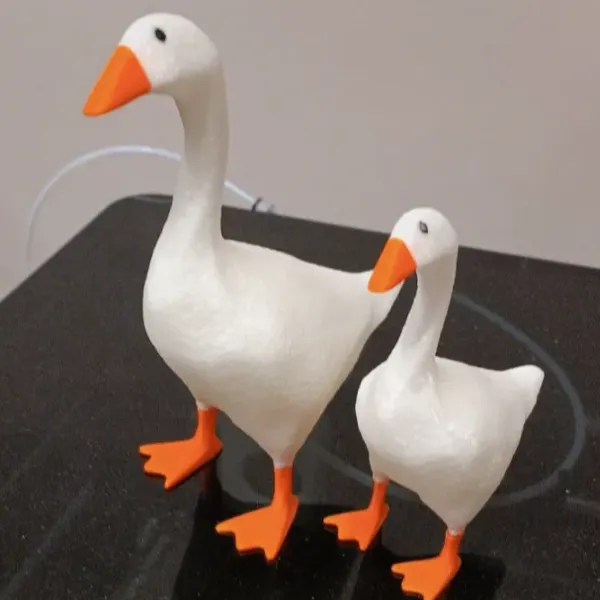 https://makerworld.bblmw.com/makerworld/user/1475988661/collection/2025-12-13_003557c2742a7.webp