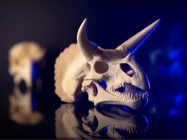 https://makerworld.bblmw.com/makerworld/user/1478008517/collection/2025-04-25_826b2b9bd42918.png