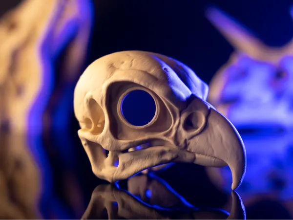 https://makerworld.bblmw.com/makerworld/user/1478008517/collection/2025-04-25_955e5b81cb8518.jpg