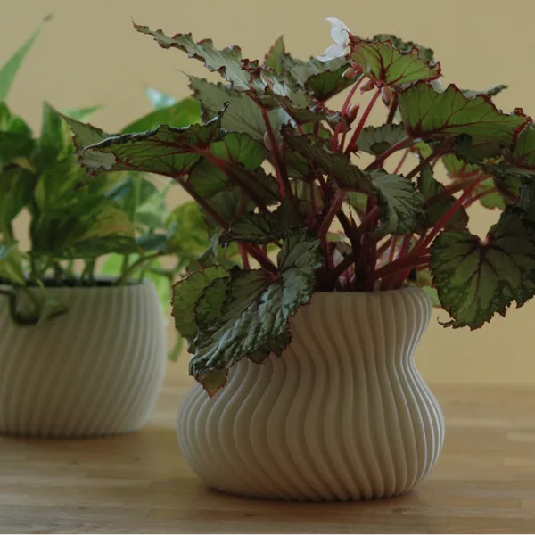 https://makerworld.bblmw.com/makerworld/user/1509716300/collection/2025-08-25_781f3a2d111138.jpg