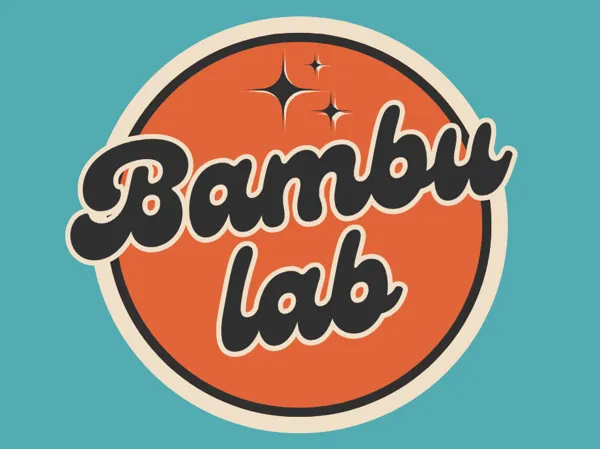 https://makerworld.bblmw.com/makerworld/user/1529341491/collection/2024-12-28_f2b9aea6e812c8.png