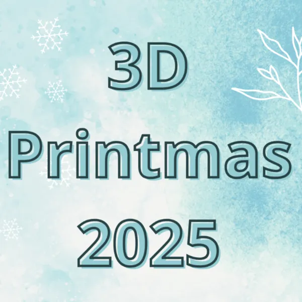 https://makerworld.bblmw.com/makerworld/user/1552411692/collection/2025-12-12_509c8238b0104.png