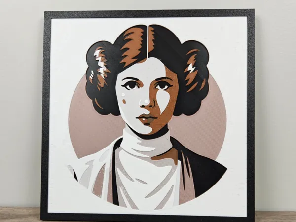 https://makerworld.bblmw.com/makerworld/user/1554260284/collection/2024-11-21_ee78c43dc85d.png