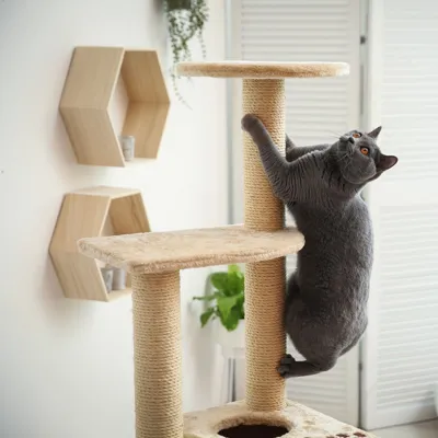 Animaux