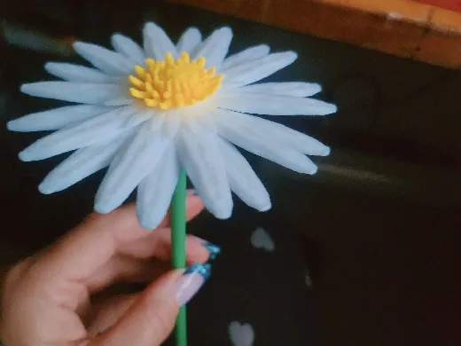 https://makerworld.bblmw.com/makerworld/user/1586651392/collection/37a6d7b0-b3bc-11f0-b9b4-8fe580dd559e.jpg