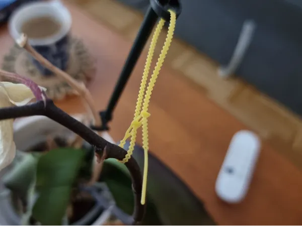 https://makerworld.bblmw.com/makerworld/user/1646173108/collection/2025-02-03_4334fadd0bd2e.jpg