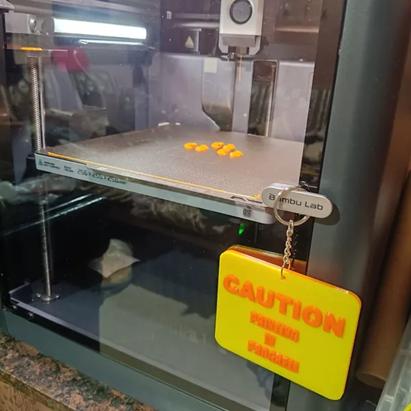https://makerworld.bblmw.com/makerworld/user/171021744/collection/2025-10-19_86cce38ee00da8.jpeg