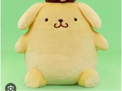 Pompompurin 