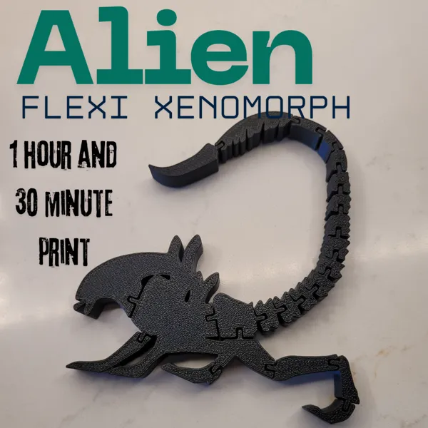 https://makerworld.bblmw.com/makerworld/user/1765718979/collection/2025-11-09_6c31f9029b5ed.png