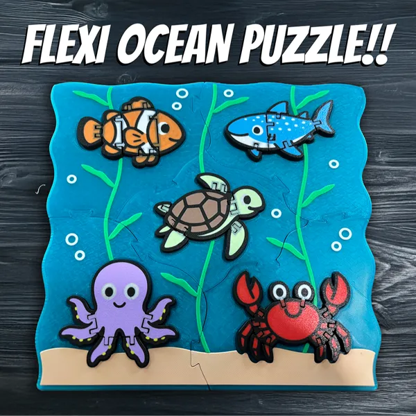 https://makerworld.bblmw.com/makerworld/user/1831081430/collection/2025-06-02_069f2affa11ae8.png