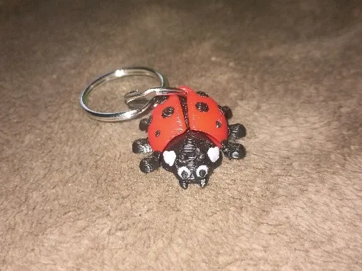https://makerworld.bblmw.com/makerworld/user/1866727736/collection/e60d5300-7c31-11f0-a3f8-51ebe99a23a0.jpg