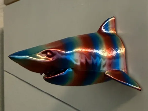 https://makerworld.bblmw.com/makerworld/user/1883915637/collection/2025-02-01_81b43c75bf477.jpg