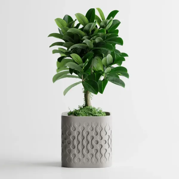 https://makerworld.bblmw.com/makerworld/user/1901920210/collection/2025-09-26_404a356506d118.png