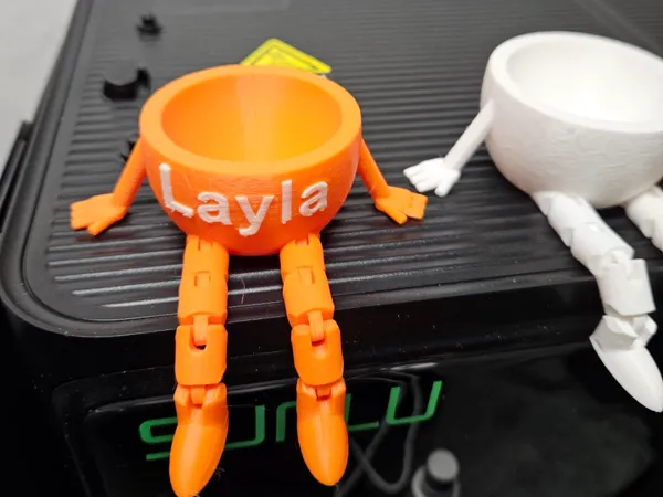 https://makerworld.bblmw.com/makerworld/user/1910917570/collection/2025-02-19_4edea3862e8fc.jpg