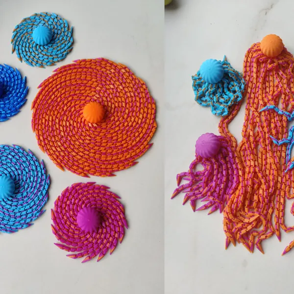 https://makerworld.bblmw.com/makerworld/user/2002082069/collection/2025-06-01_7d0a5742123698.png