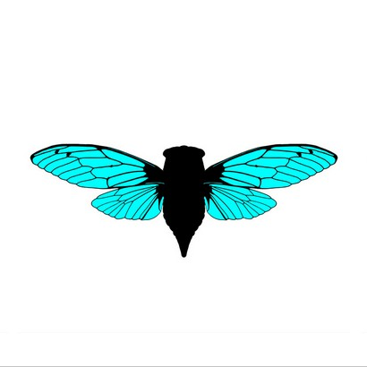 Cicadidae