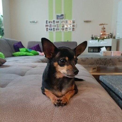 profile