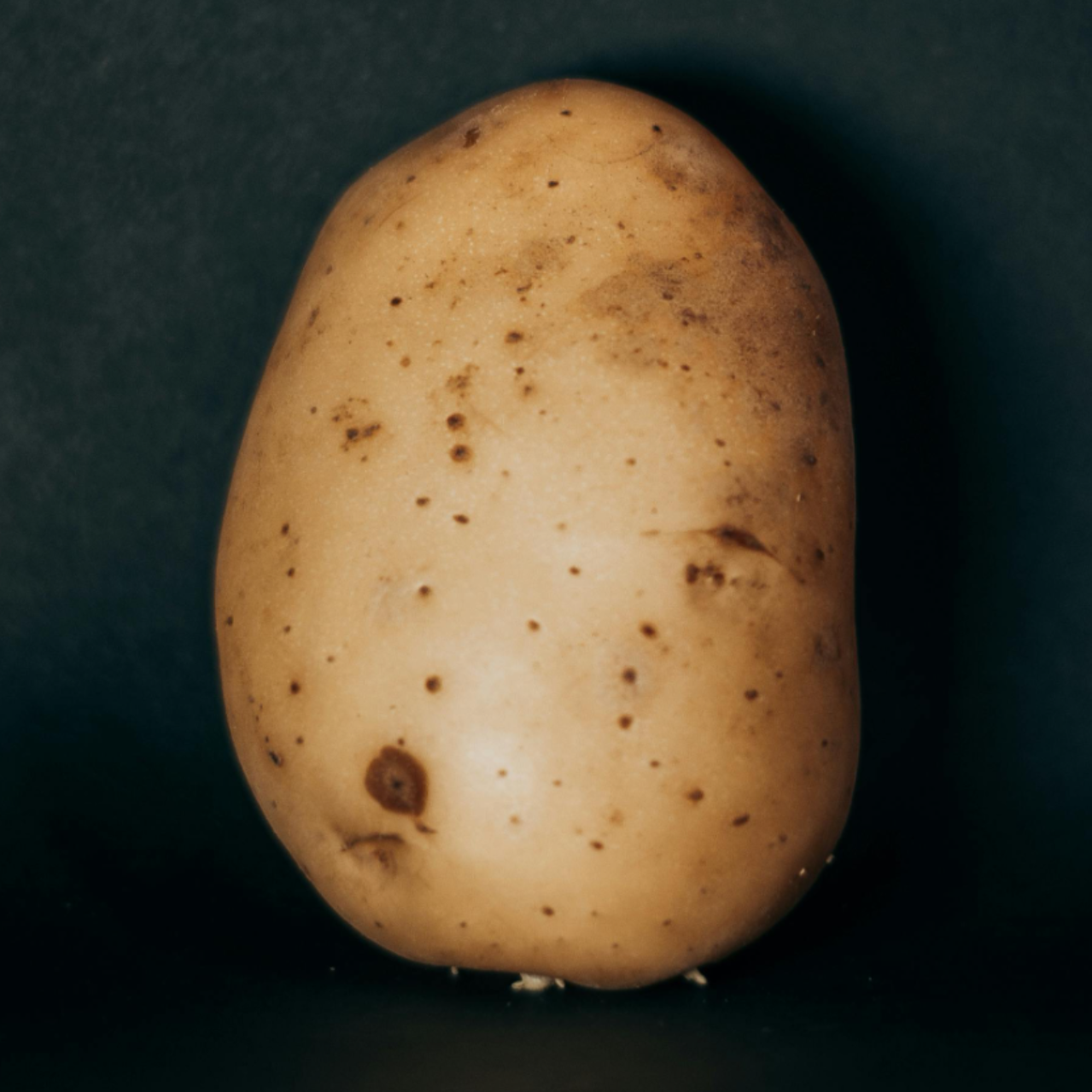 Potato Co.