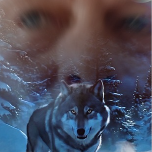 thoddibär