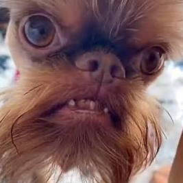 deeeeeeeeez