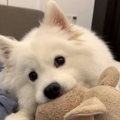 MuChangWu